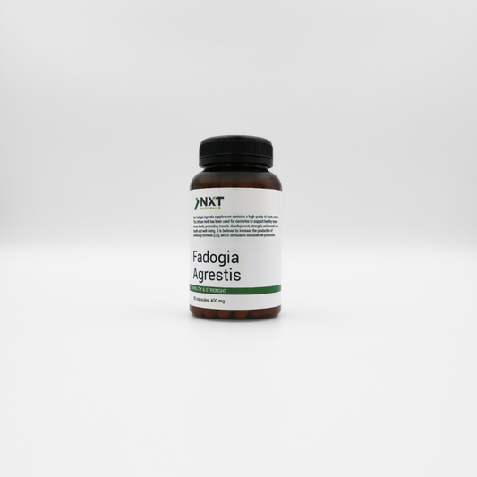 Fadogia Agrestis